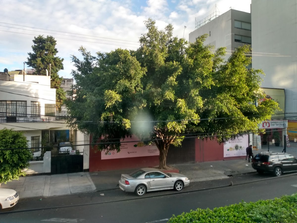 Hotel Paraíso gallery 6