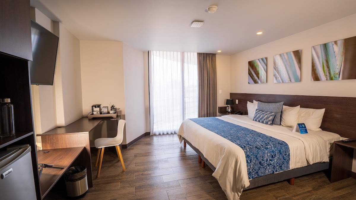 Hotel Circulo Condesa gallery 2