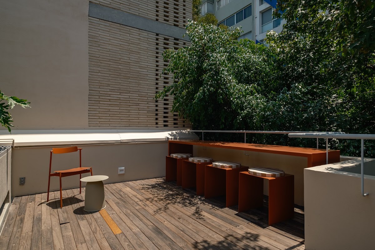 Cholula Condesa Hotel by Lumina gallery 10