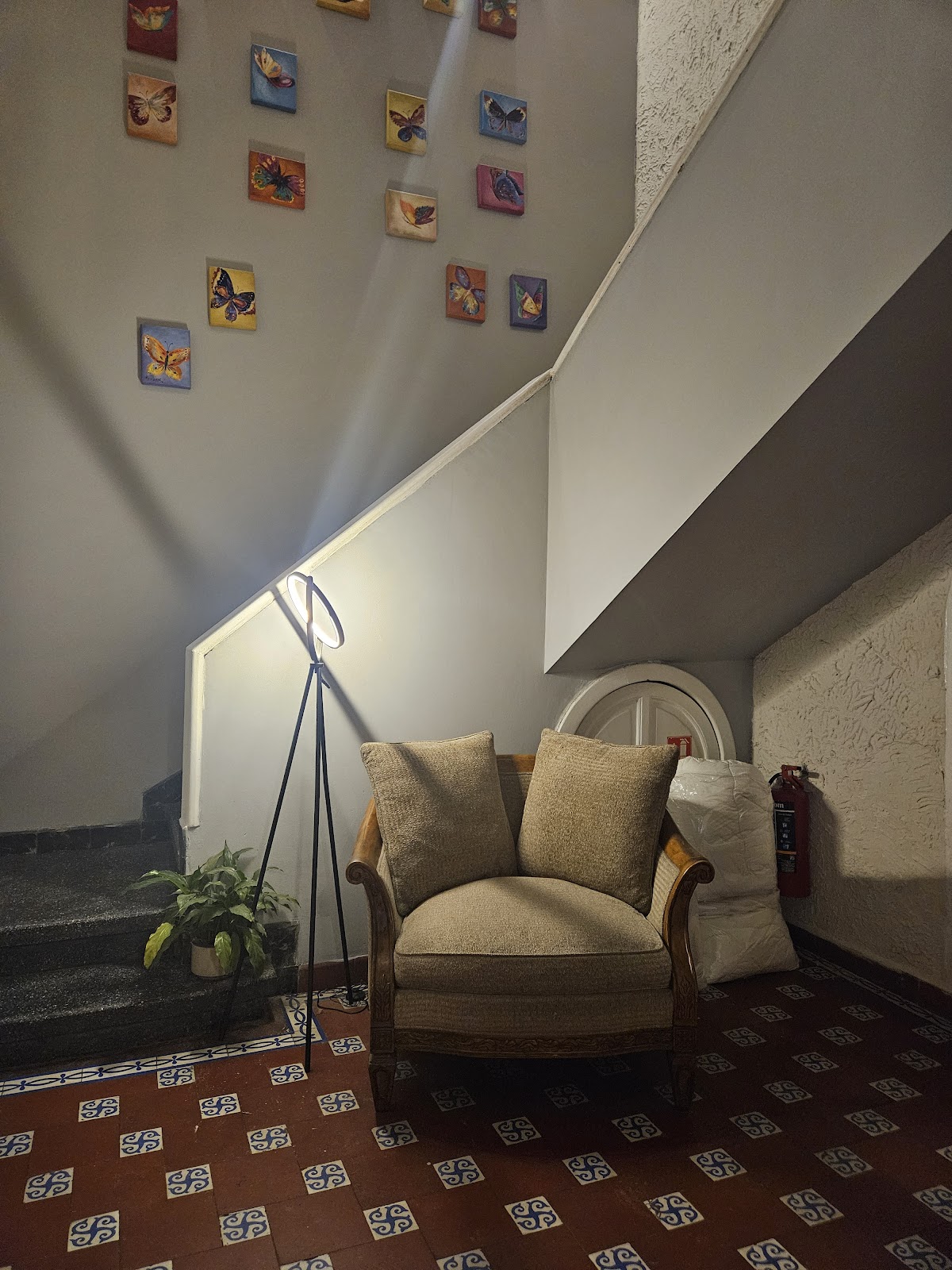 Casa Condesa Amatlan 84 gallery 10