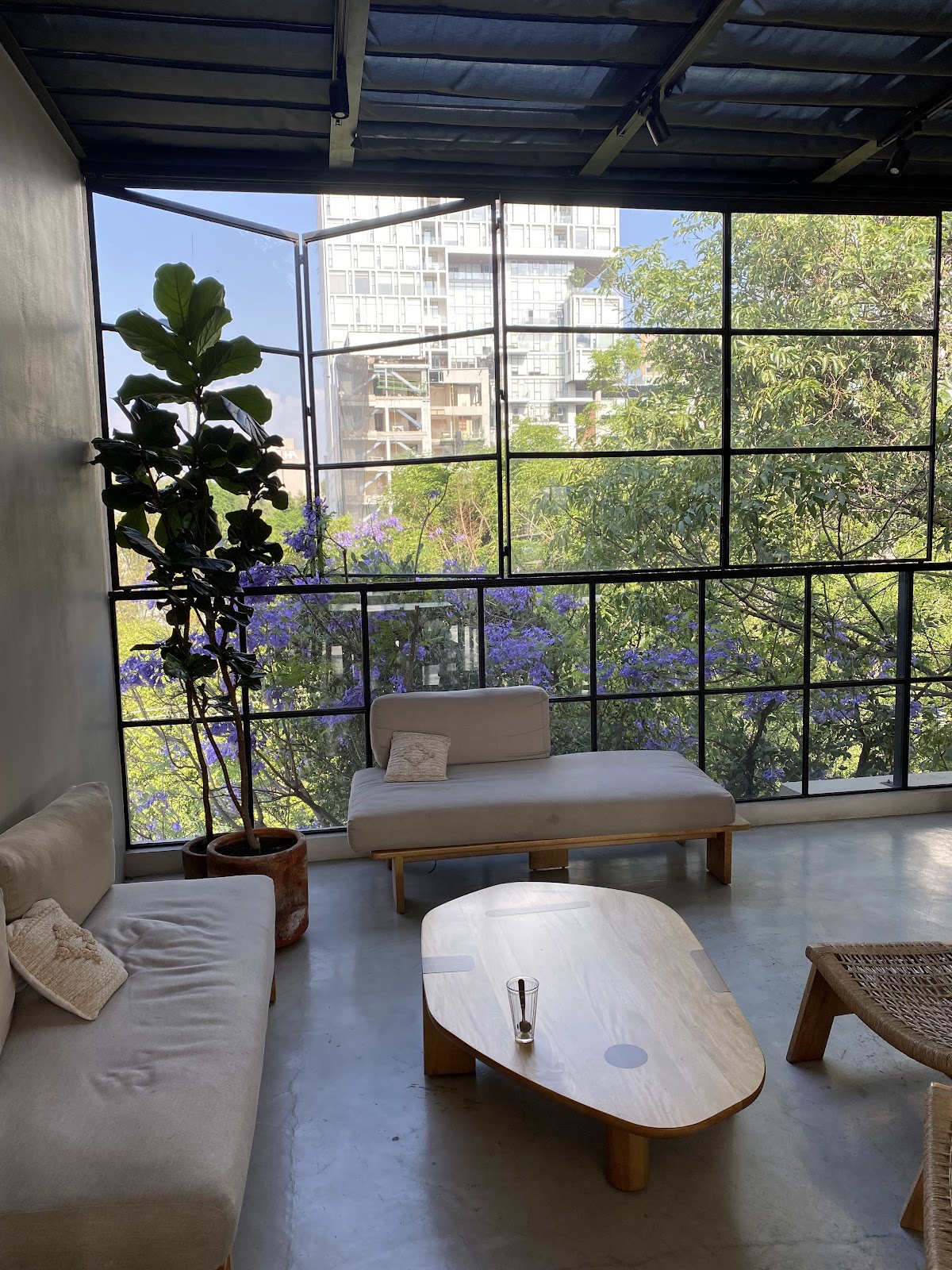 Casa Pancha gallery 3