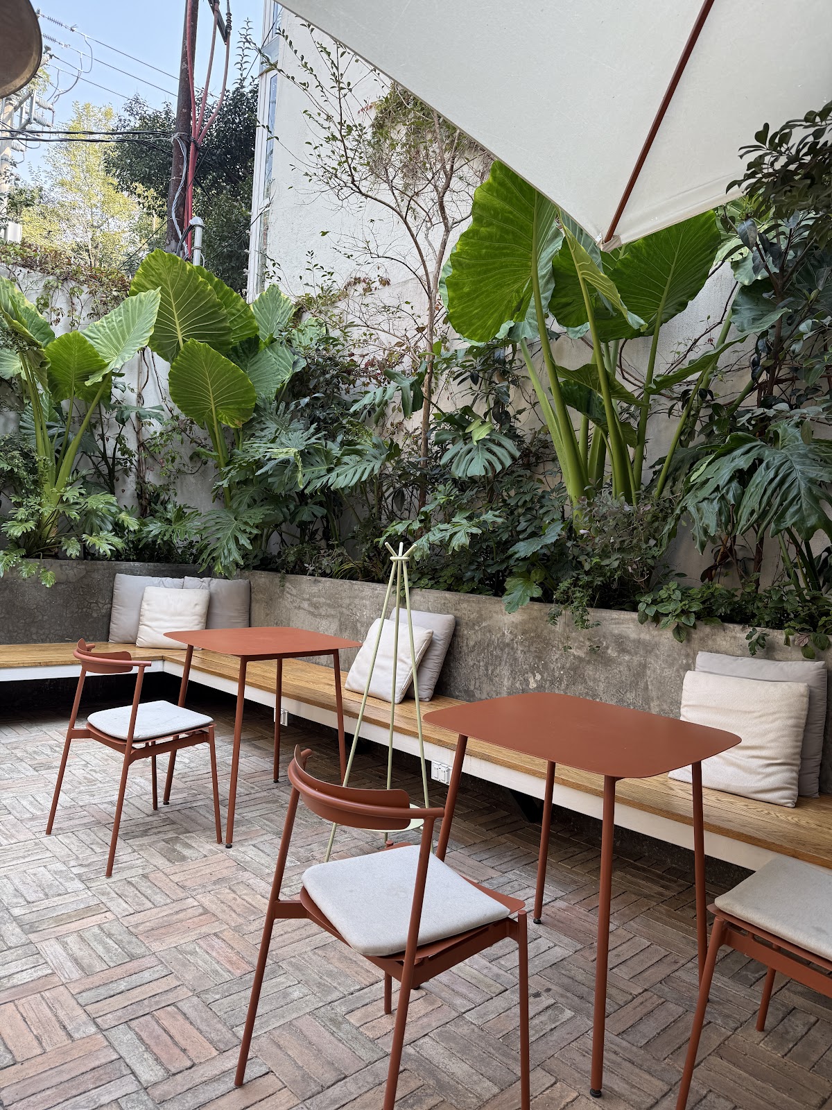 Hotel Casa Cuenca gallery 7