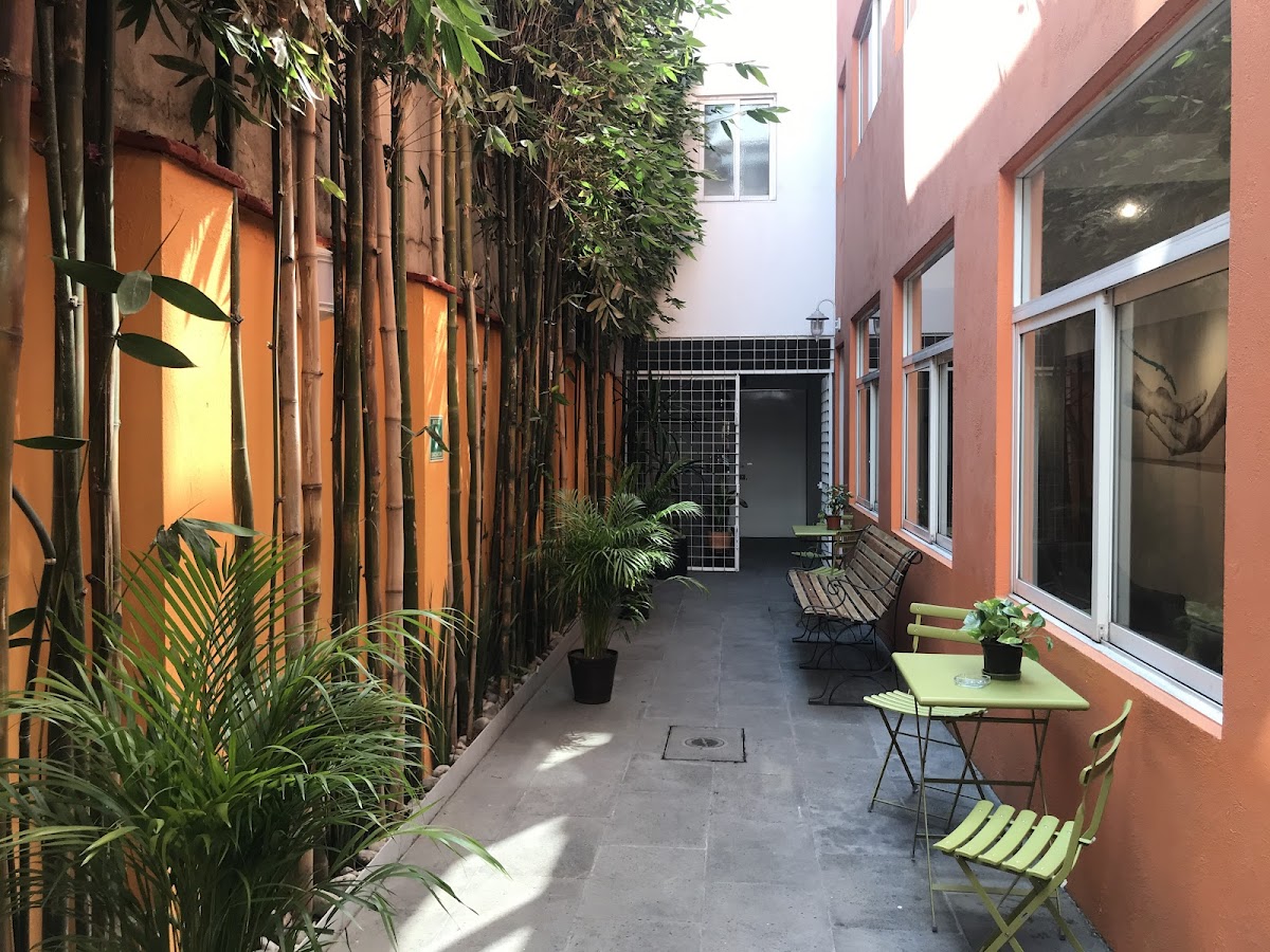 The Gallery Condesa gallery 10