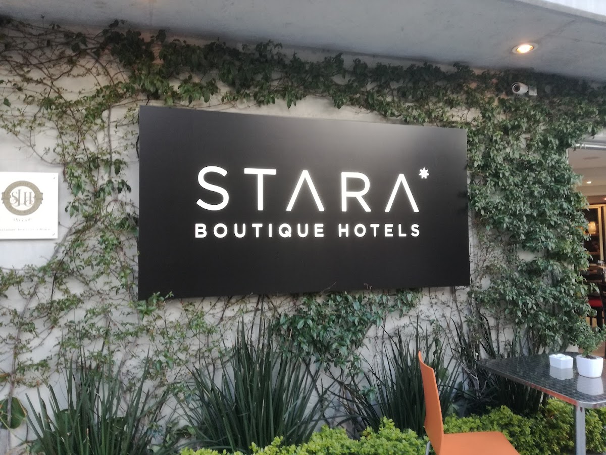 Stara San Angel Inn gallery 7