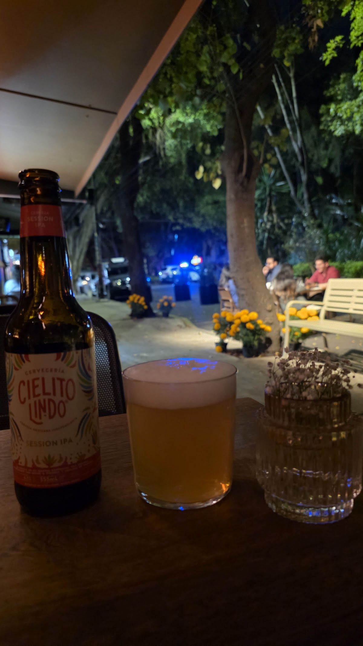 Casa Carmelia La Condesa gallery 5