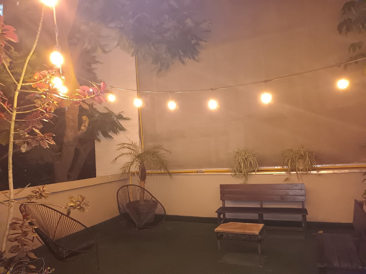Casa Carmelia La Condesa gallery 8