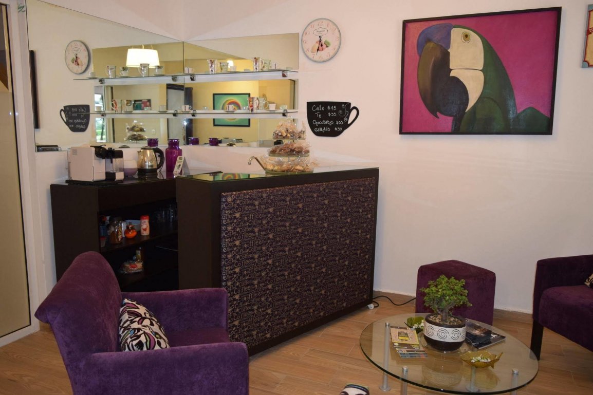 Condesa 185 gallery 7