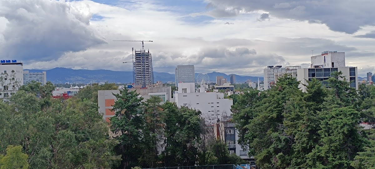 Condesa 185 gallery 9