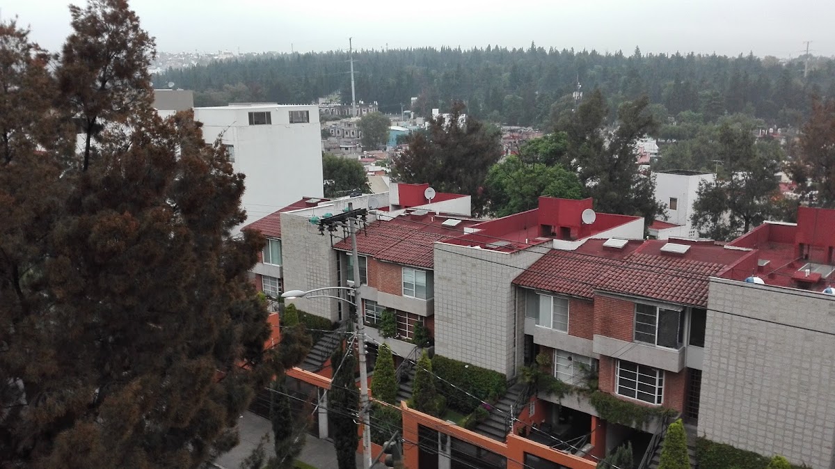 Stara San Angel Inn gallery 8
