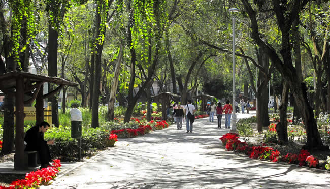 Suites Condesa Mexico gallery 8