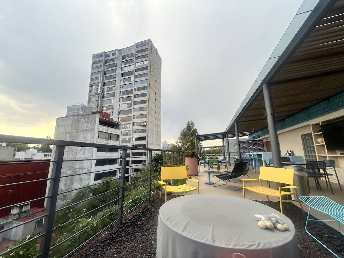 ULIV Condesa gallery 8