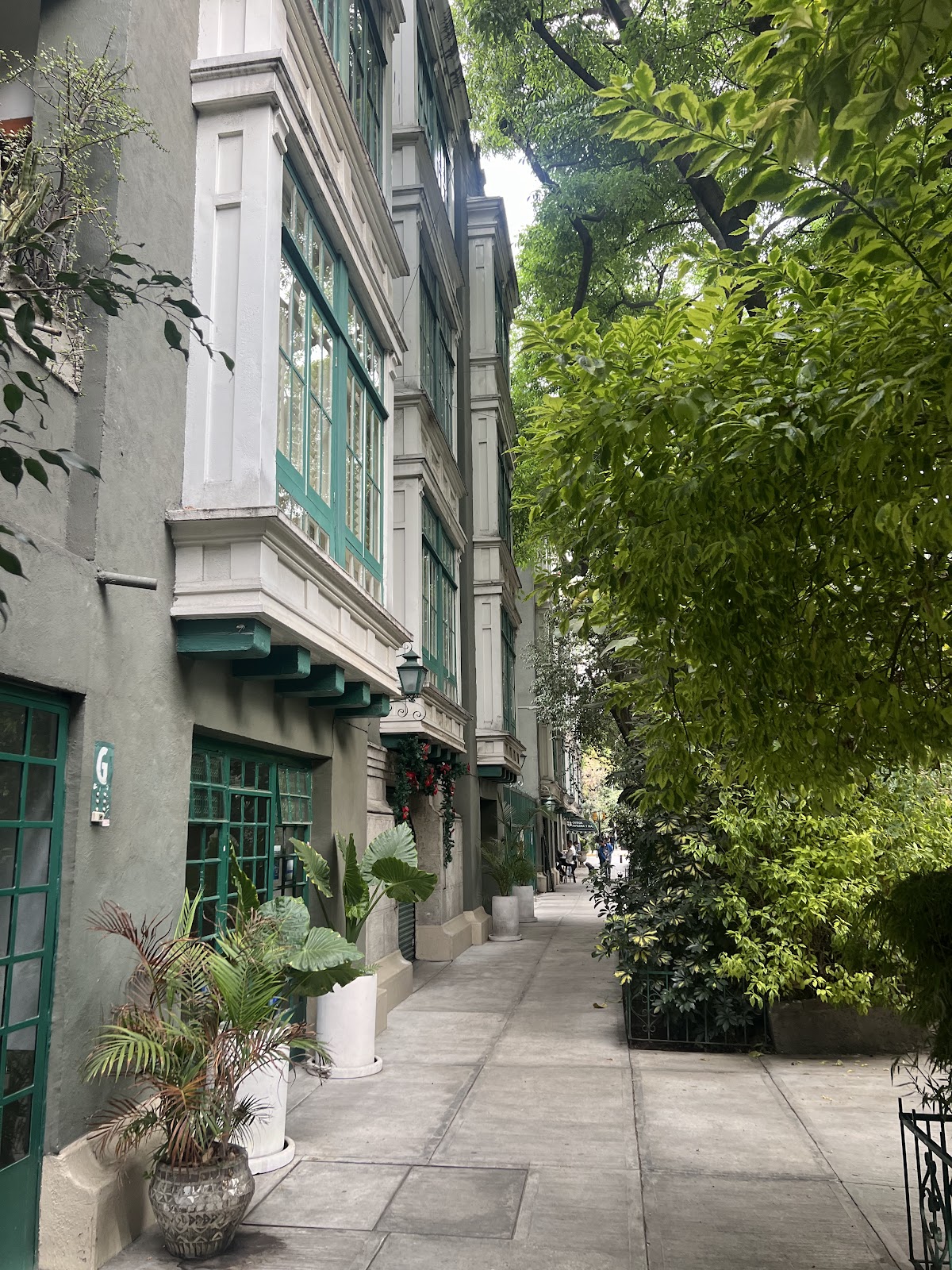Edificios Condesa gallery 2