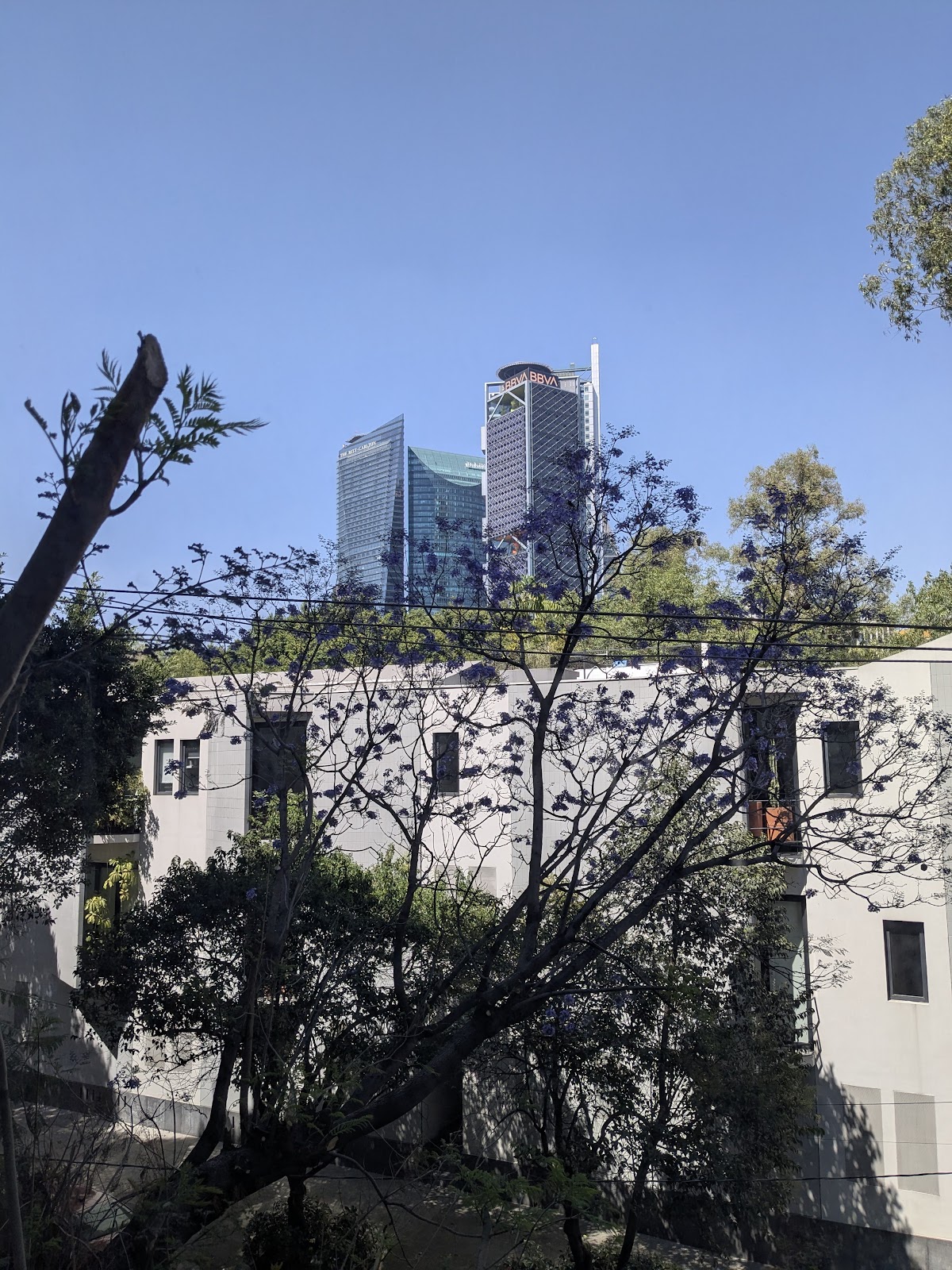 Edificios Condesa gallery 10