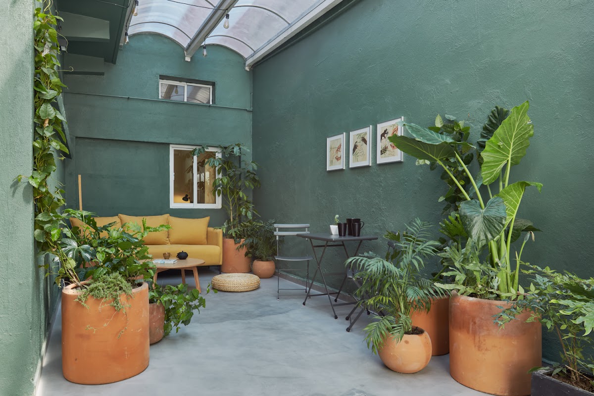 Covive: Coliving Condesa CDMX - Casa Amatlán cover