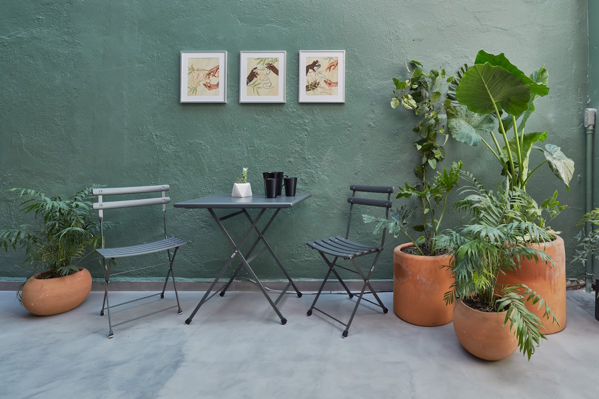 Covive: Coliving Condesa CDMX - Casa Amatlán gallery 8