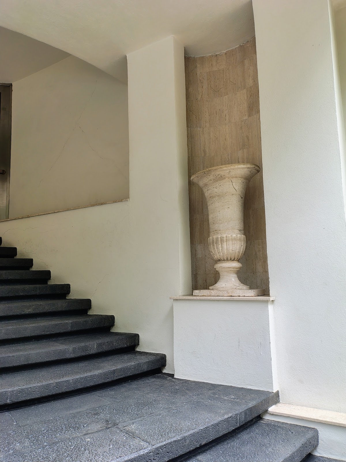 Condesa Park gallery 2