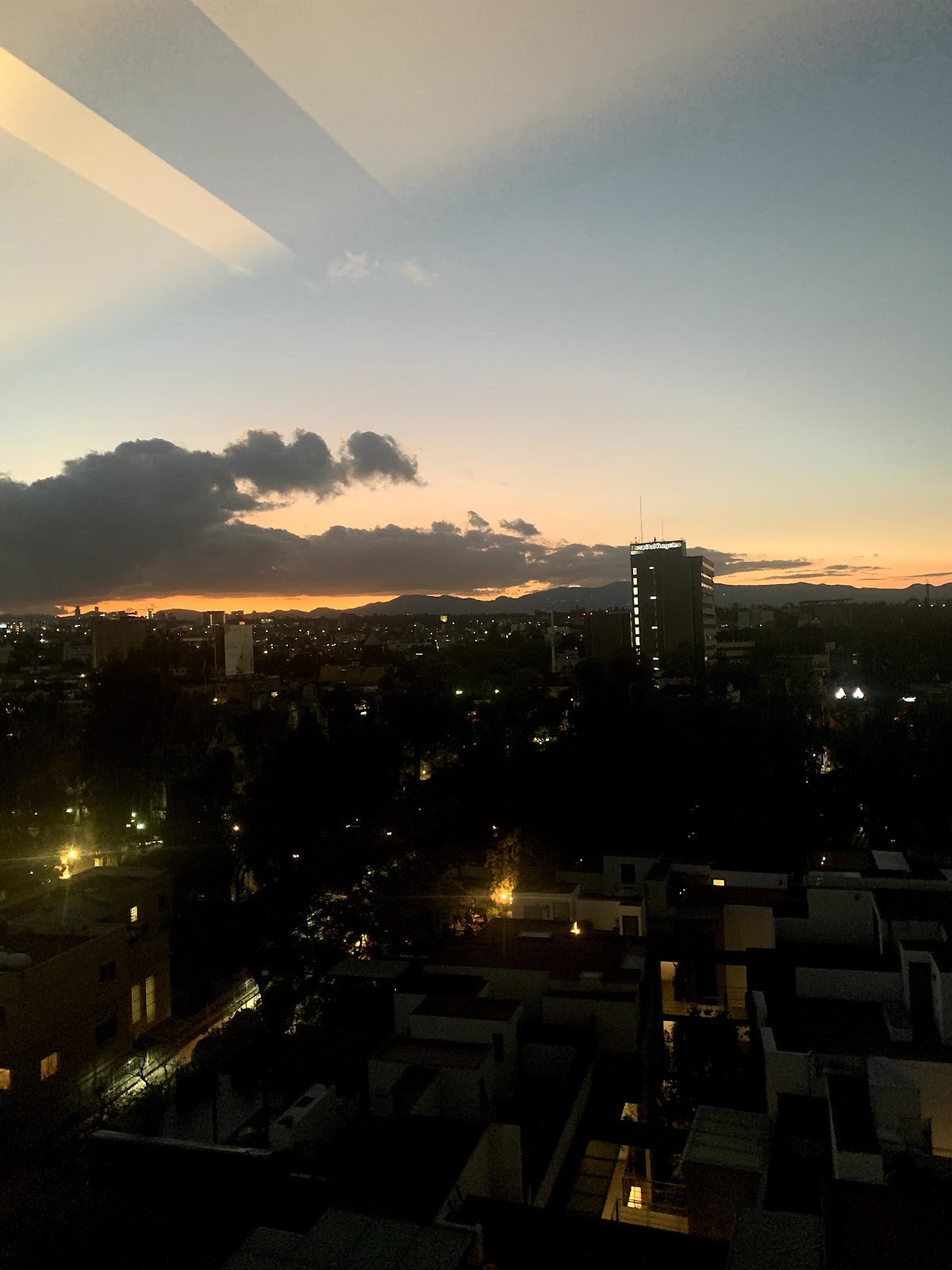 Condesa Park gallery 3
