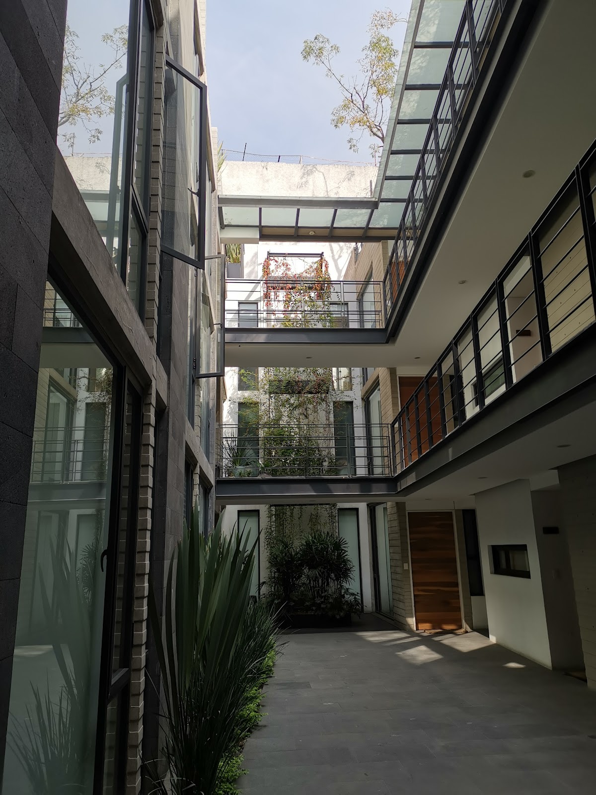 Condesa Trees gallery 3