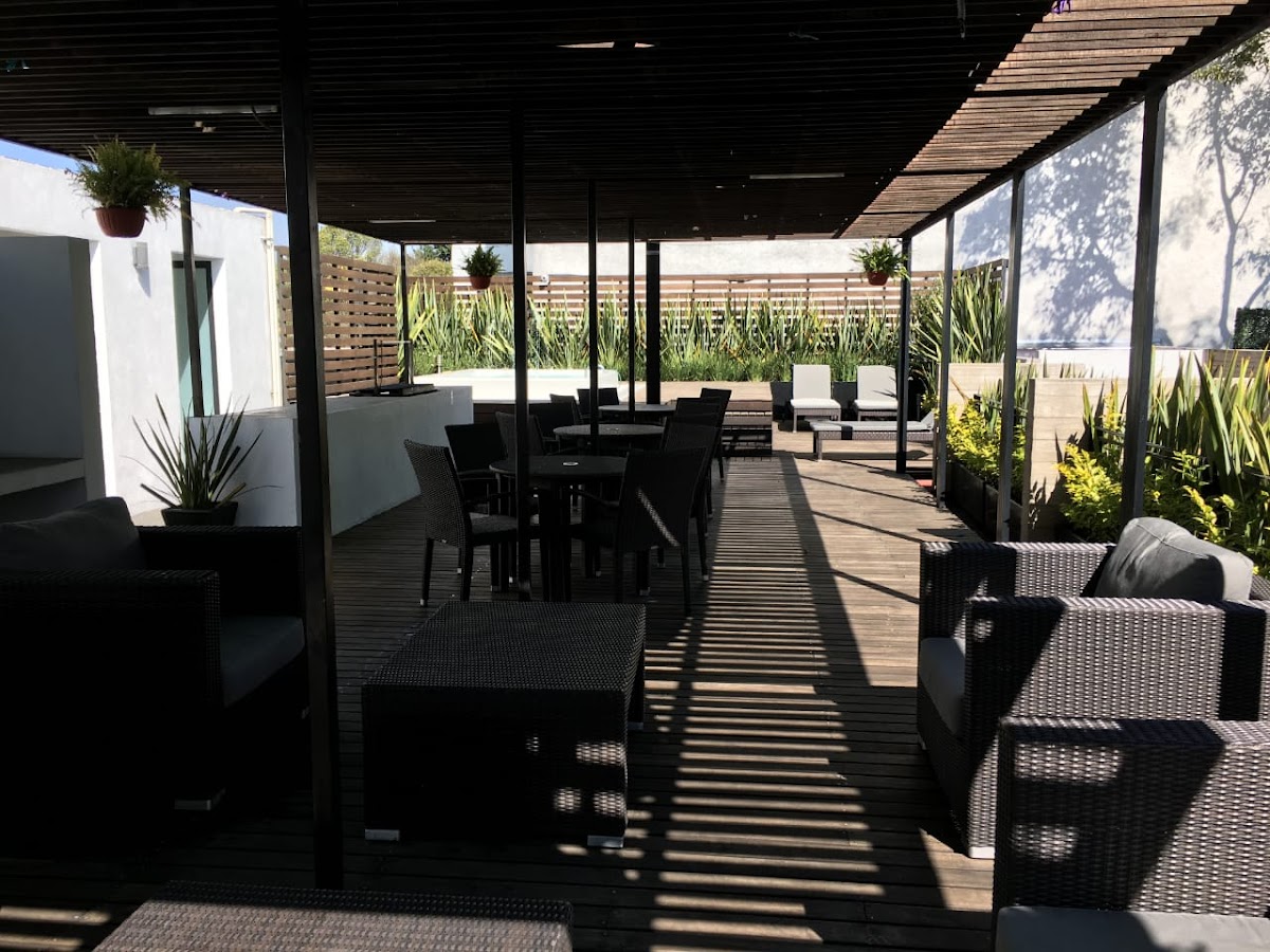Condesa Trees gallery 5