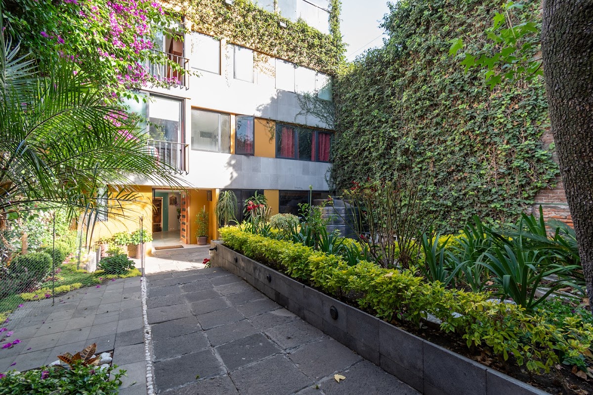 Terraza &amp; Loft San Angel gallery 8