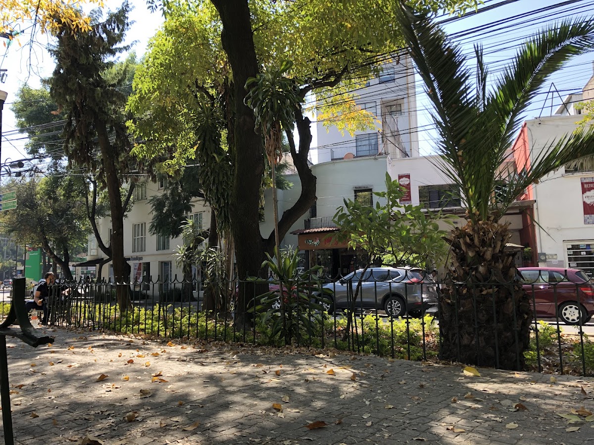Casa Corporation Boutique Suite in Condesa cover