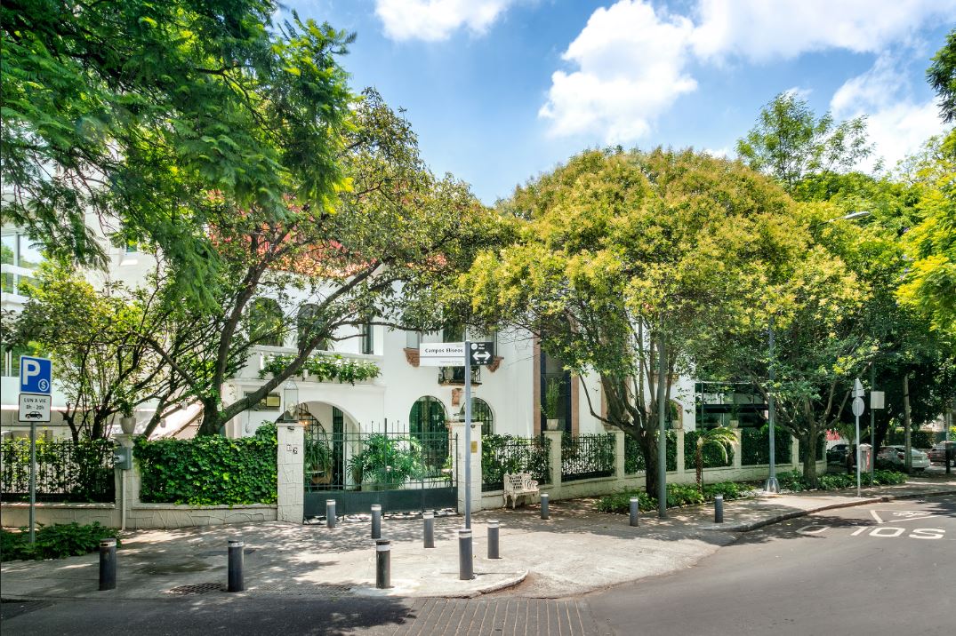 Orchid House Mexico City gallery 4