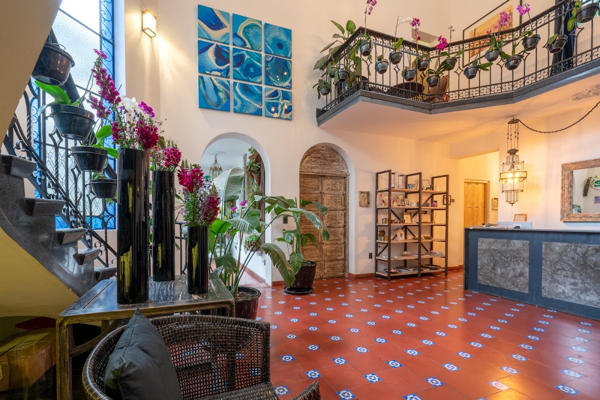 Orchid House Mexico City gallery 5