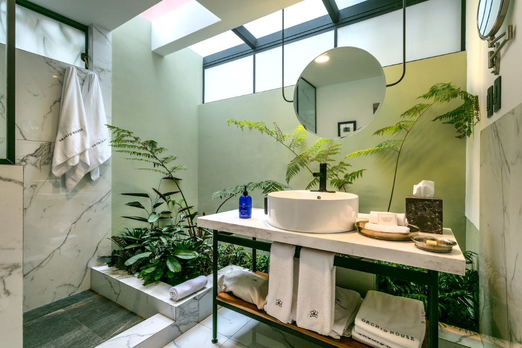Orchid House Mexico City gallery 9
