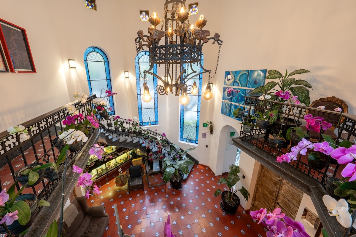 Orchid House Mexico City gallery 10