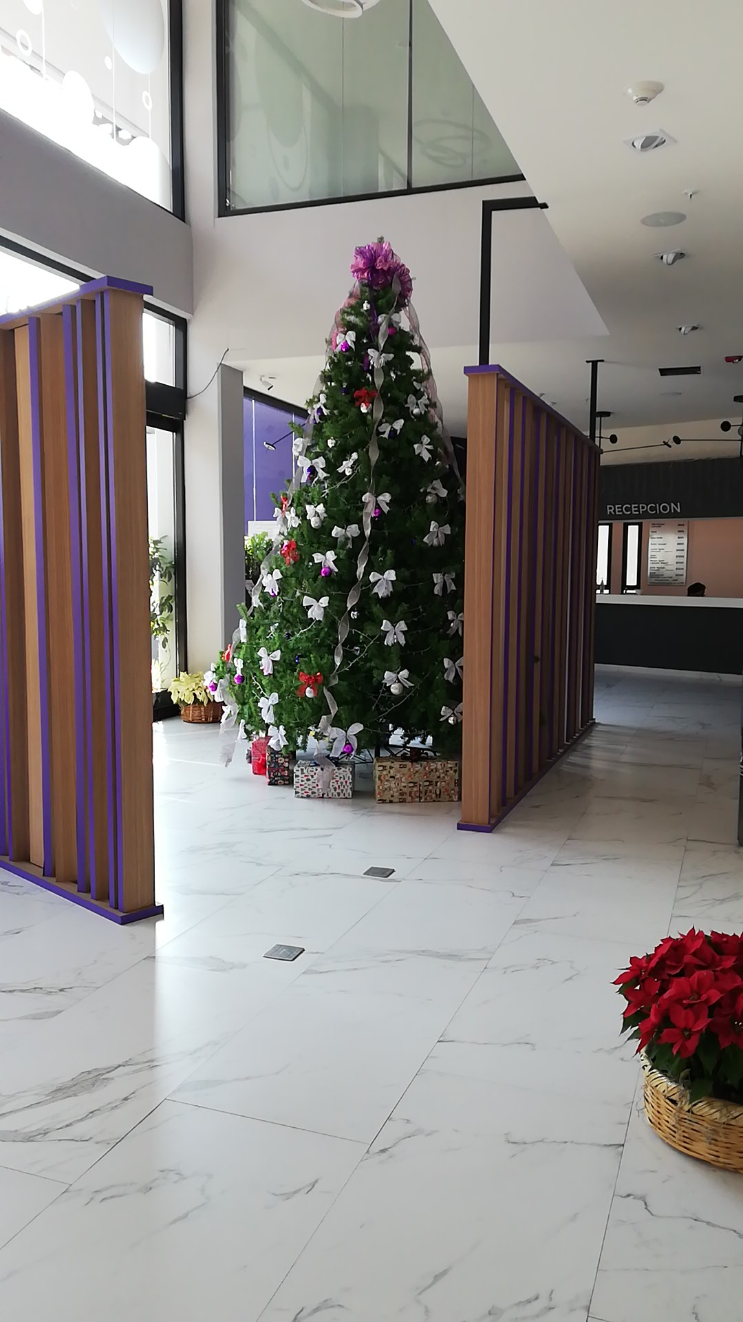Hotel Quinto Elemento - Love Suites gallery 8