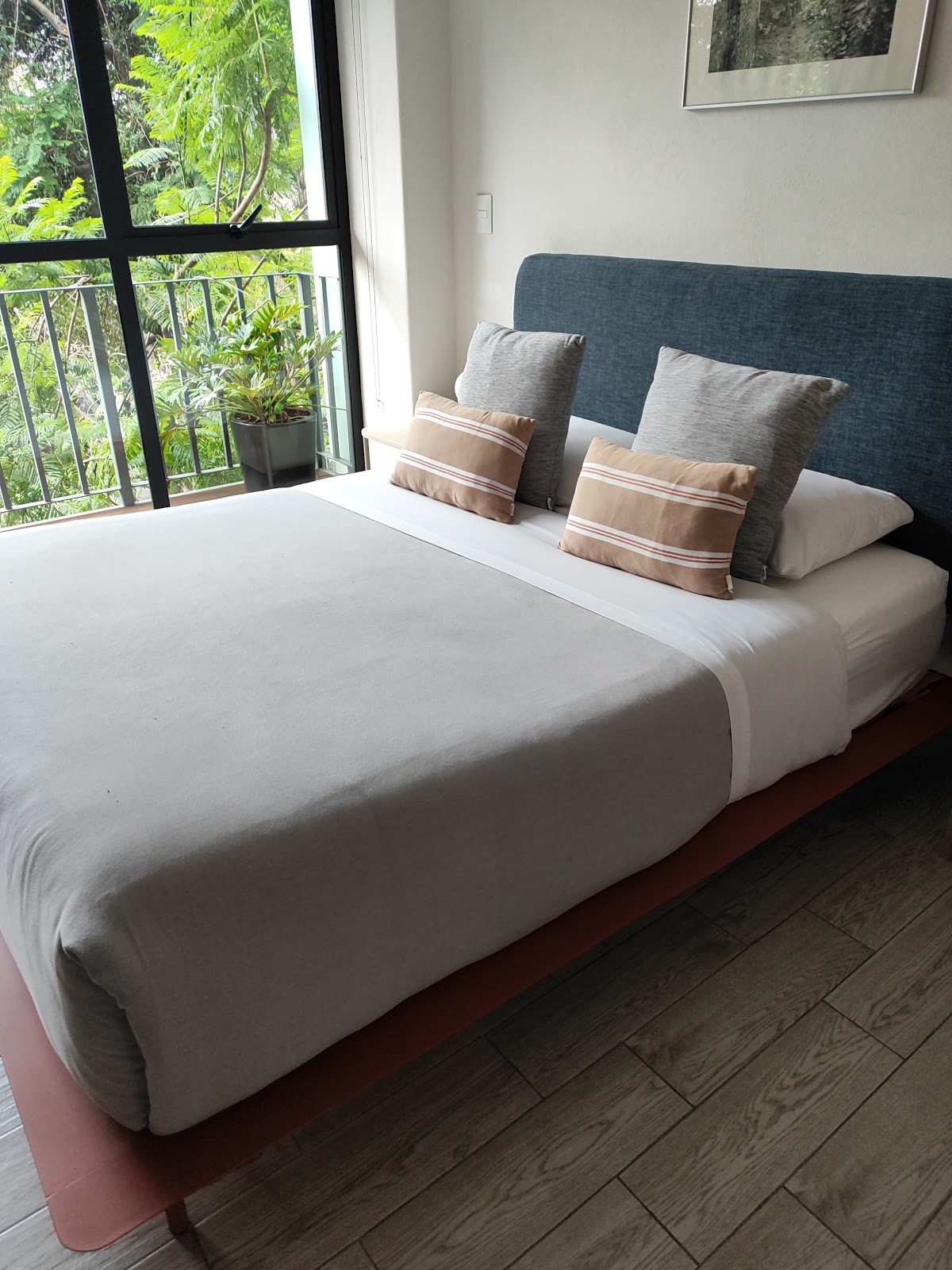 Choapan 28 - Lux Apartments in Condesa gallery 2