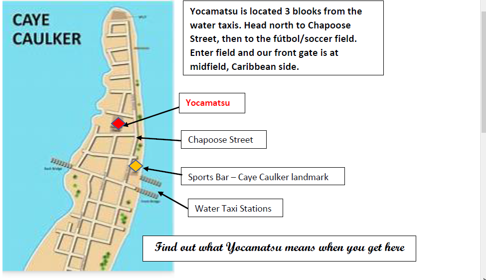Yocamatsu gallery 3