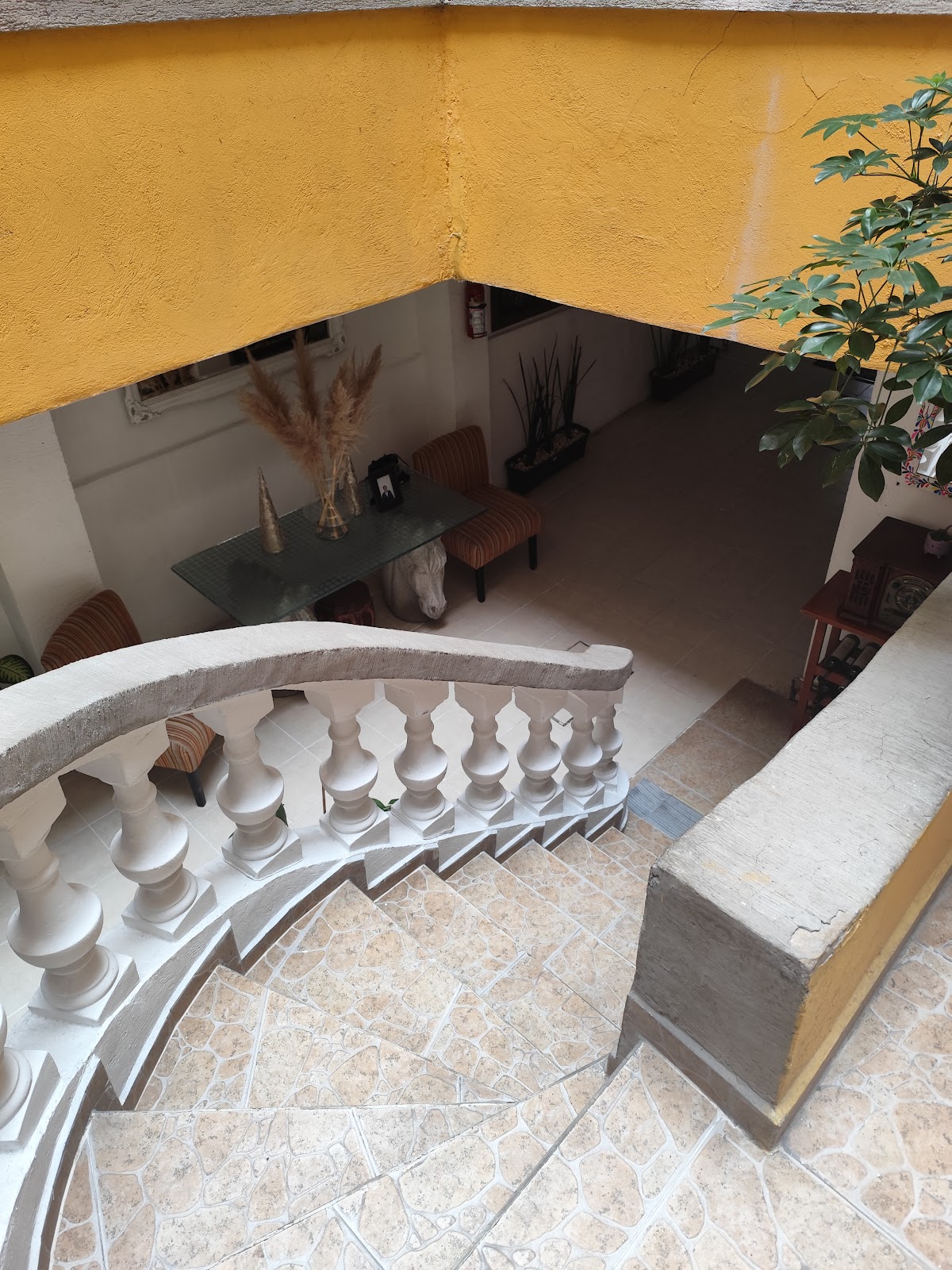La Histórica CDMX gallery 9