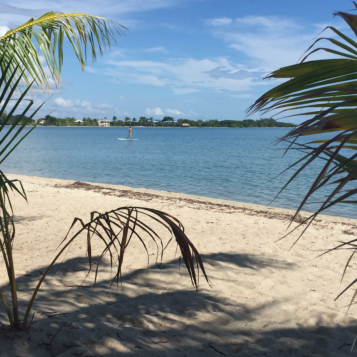 Imani's Inn Placencia gallery 6