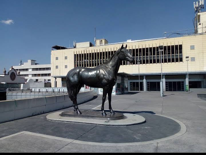 Hipódromo de Las Américas gallery 5