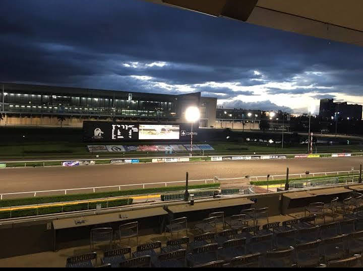 Hipódromo de Las Américas gallery 8