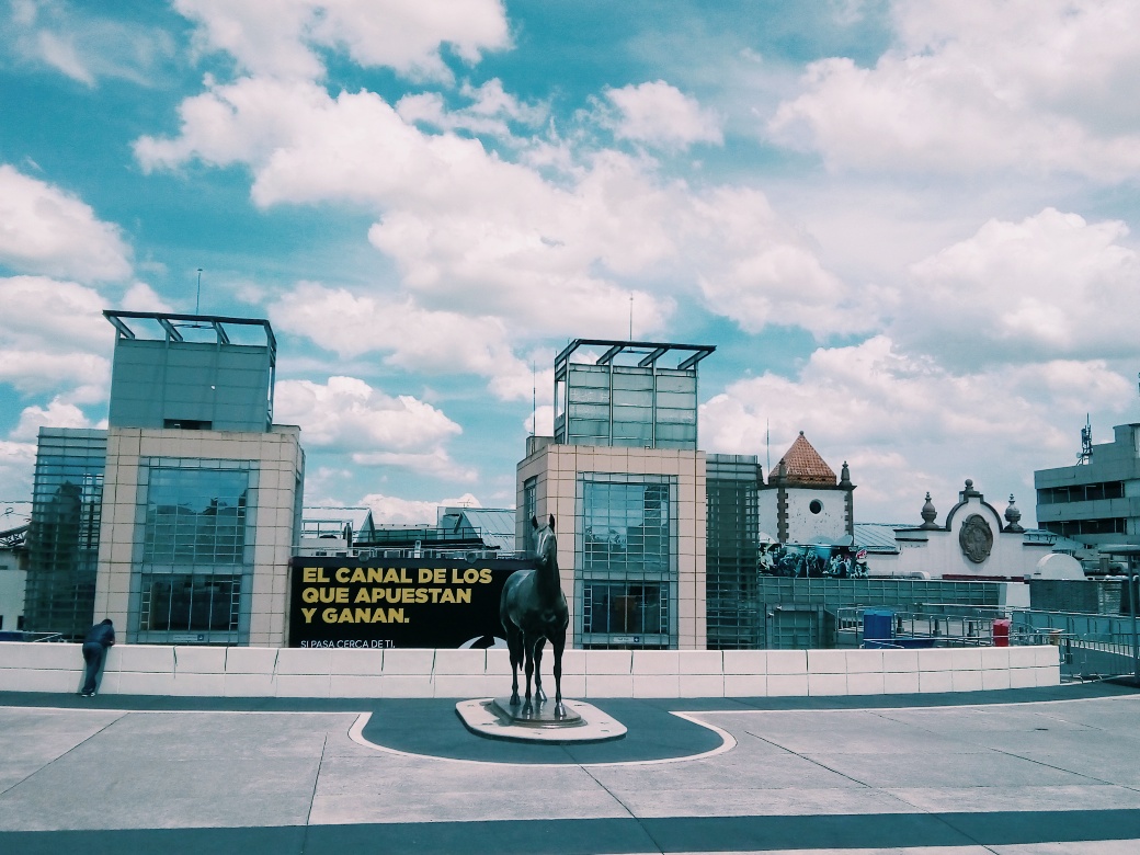 Hipódromo de Las Américas gallery 9