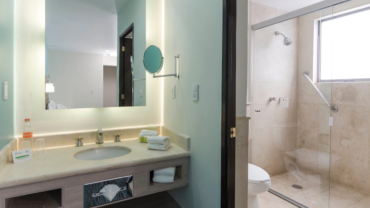 Holiday Inn & Suites Mexico Zona Reforma by IHG gallery 3