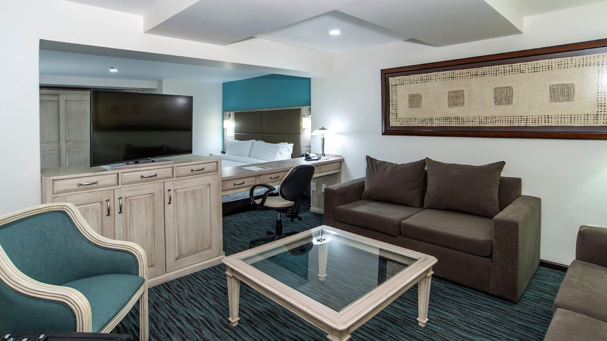 Holiday Inn & Suites Mexico Zona Reforma by IHG gallery 8