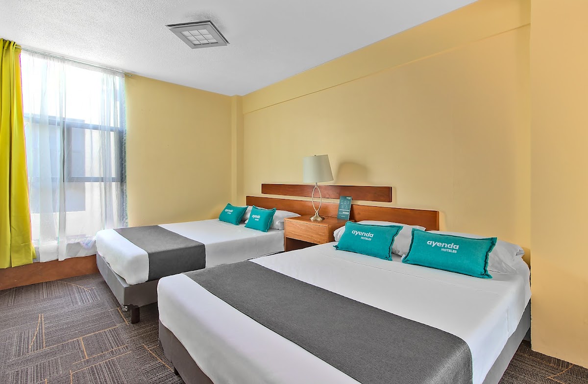 Capital O Suites Marne Cdmx gallery 4