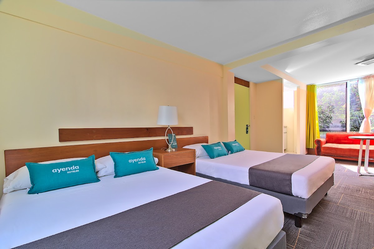 Capital O Suites Marne Cdmx gallery 6