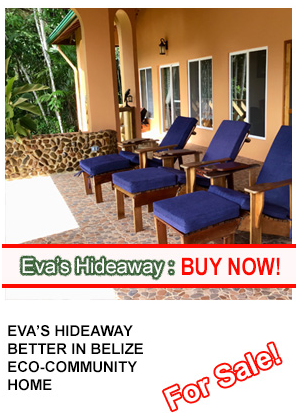 Better In Belize Eco Lodge gallery 6