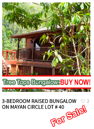 Better In Belize Eco Lodge gallery 7