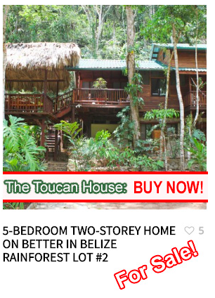 Better In Belize Eco Lodge gallery 9
