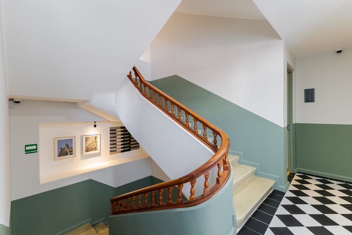 Magis gallery 5