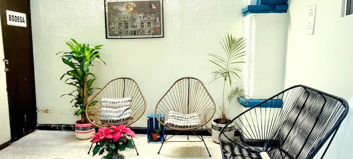 HOM Centro histórico gallery 8