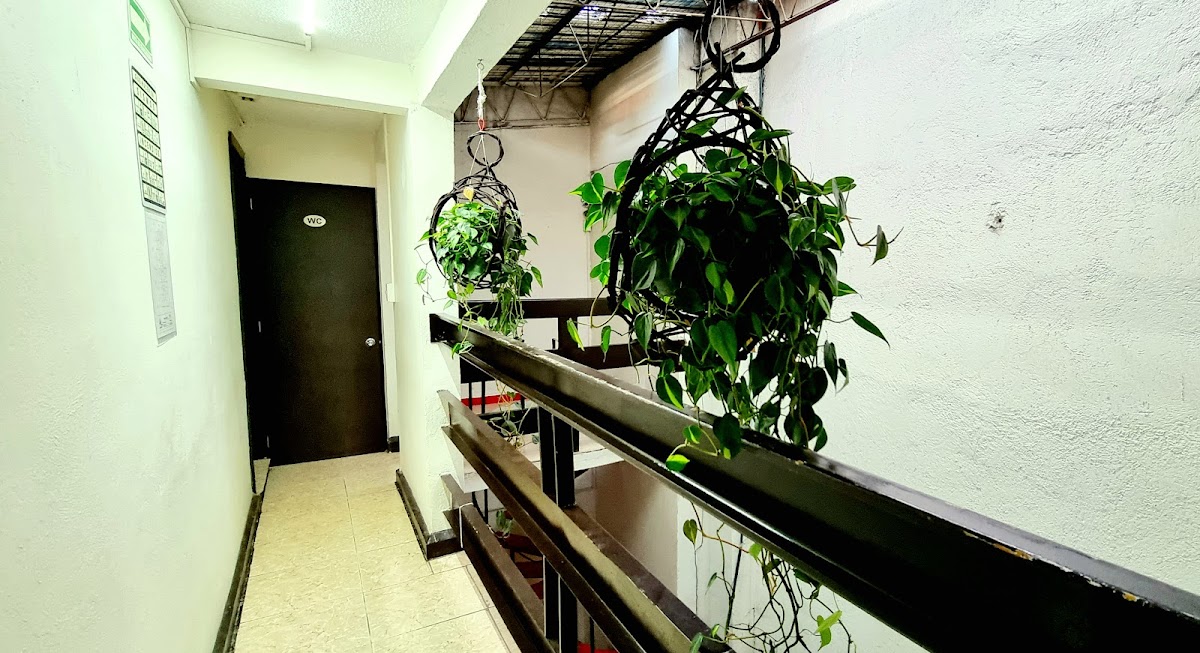 HOM Centro histórico gallery 9
