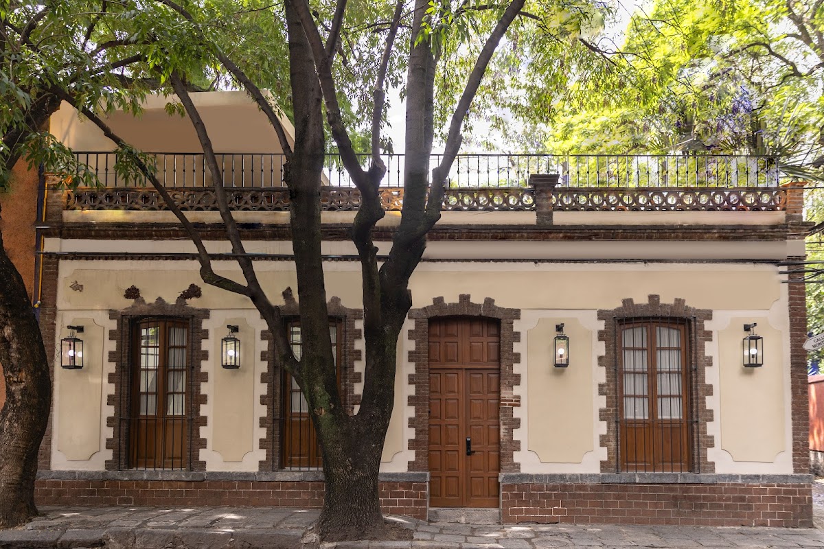 Orchid House Coyoacan gallery 3
