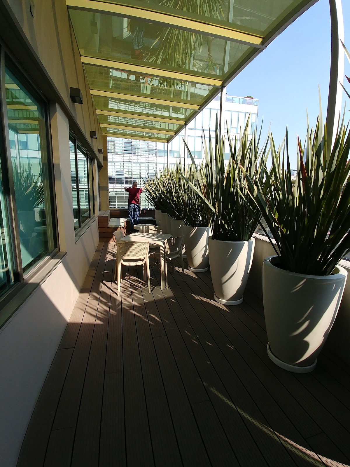 City Express Suites by Marriott Ciudad de México Anzures gallery 10