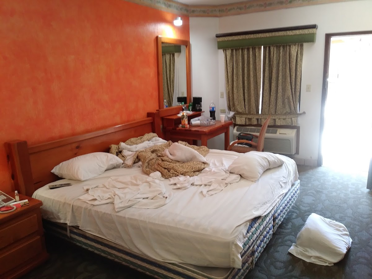 Hotel Suites El Paseo gallery 2